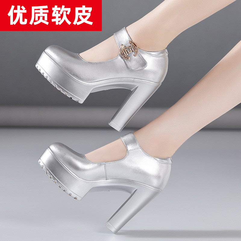 kamames High Heel 12Cm Cheongsam Model Catwalk Shoes Women's Thick Soles Waterproof Platform Silver Round Head Stage Performance Shoes Women's Singles Shoes