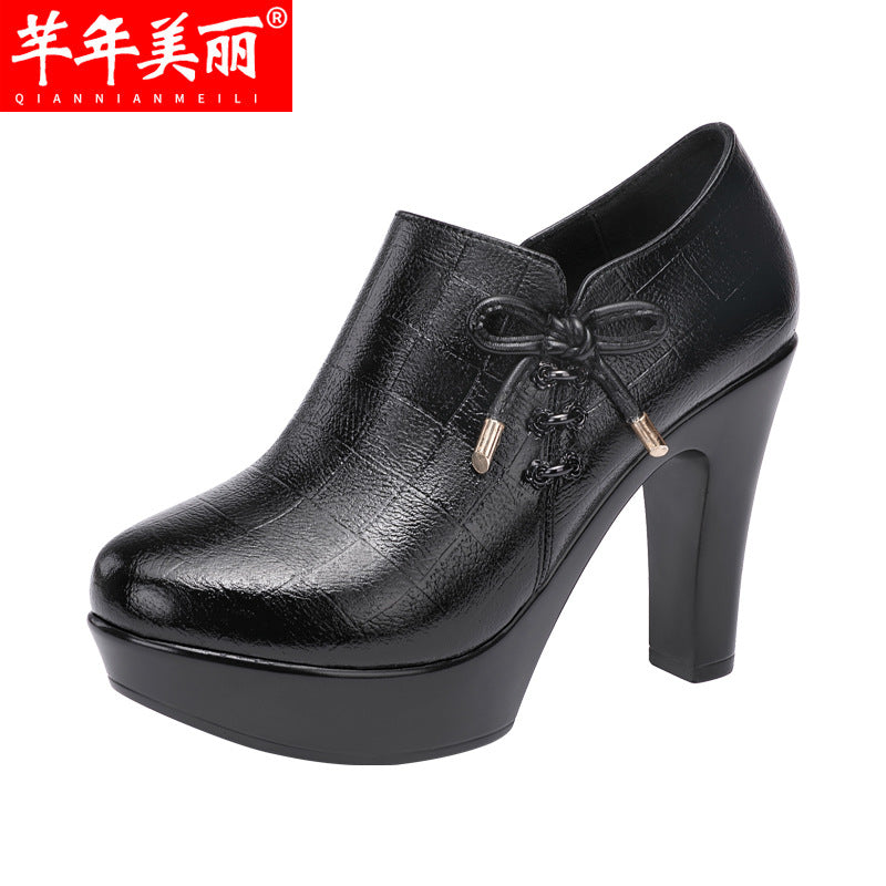 kamames Head, Thick Heels, Deep Mouth Single Shoes Women 2023 Autumn And Winter Thick-Soled Waterproof Platform Plush Thickened Models Catwalk High Heels Women