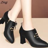 kamames Up High Heels Woman Shoes 2023 Autumn Winter Metal Pointed Toe Dress Shoes Black Pumps Square Bare Boots Zip Stitch