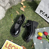 kamames Mary Jane Small Leather Shoes For Women In Autumn 2024 Thin Cosplay Thick Soles, Thick Heels And High Heels Jk Single Shoes