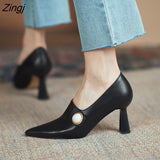 kamames Women Fashion Light Brown High Quality Heel Shoes for Autumn Amp Spring Lady Classic Comfort Stylish Black Shoes  Women Heels