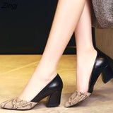 kamames Small Fresh Two Wear Single Shoes 2023 Fall New Thick with Shallow Mouth Womens Shoes Elegant Square Head High Heels