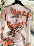 Zingj Autumn Sexy Long Dress Fashion O Neck Long Sleeves Slim Korean Mesh Sheer Floral Print Maxi Dress