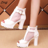 kamames New Fashion Women's Shoes Fish Mouth Sandals Women's High-heeled Mesh Thickened Summer Hollow Mesh Open Toe Solid Color