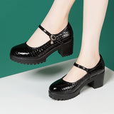 kamames Round Head High-End Catwalk Shoes Thick Heel Waterproof Platform One-Word Buckle Model Comfortable Cheongsam High-Heeled Shoes
