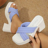 Slippers Women Summer Heels Platform Slipers Ladies Fashion Beach Shoes Designer Party Dress Slides Woman Casual Comfortable Flip Flops H240521