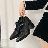 kamames Women's Thick Heels Mary Jane Shoes 2024 New Spring Black Leather Shoes French Retro Pointed Single Shoes