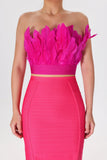 Kamames Bethany Feather Top & Bandage Skirt