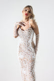 kamames Wenda Feather Sequin Maxi Dress