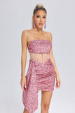 Kamames Janneth Sequin Ruched Mini Dress