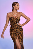 kamames Nava Leopard Mesh Maxi Dress