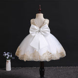 Kamames  In Stock Children's Full Dress Exclusive for Cross-Border Girls' Dress Embroidered Lace Girls' Dress Baby Girls' Birthday