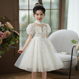 Kamames  Children's Dress High-End  New Spring/Summer Flower Girl Wedding Dress Girls' Birthday Princess Skirt Violin Costume