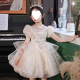 Kamames  Dresses of Bride Fellow Kids Girls' Evening Dress Special Interest Light Luxury Birthday Princess Dress Host Steel Competition Performance Clothes Independent Station