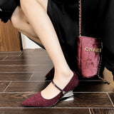 2025  Korean version of one-word buckle polka dot diamond temperament high heels women's burgundy senior sense pointed Mary Jane slope heel single shoes women