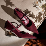 2025  Korean version of one-word buckle polka dot diamond temperament high heels women's burgundy senior sense pointed Mary Jane slope heel single shoes women