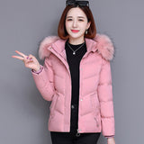 Padded jacket women's winter new large size loose padded jacket Korean version popular fashion warm down cotton padded jacket