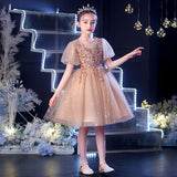 Kamames  Children's Dress Flower Girl Wedding Little Girl Host Girls Birthday Princess Dress High-End Piano Instrumental Performance Suit Summer