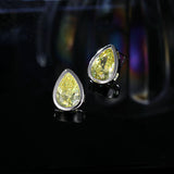 2025 popular new New exquisite water drop zircon earrings women's fashion temperament S925 silver needle versatile stud earrings wholesale