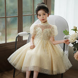 Kamames  Children's Dress High-End  New Spring/Summer Flower Girl Wedding Dress Girls' Birthday Princess Skirt Violin Costume