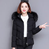 Padded jacket women's winter new large size loose padded jacket Korean version popular fashion warm down cotton padded jacket