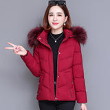 Padded jacket women's winter new large size loose padded jacket Korean version popular fashion warm down cotton padded jacket