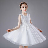 Kamames  Children's Princess Dress Summer Clothes Children's Wear Western Style Girls' Summer Dress Children Tulle Tutu Children's Day Performance Dress