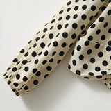 2025 Polka dot mulberry silk shirt  summer new women's clothing,  retro shirt, double crepe V-neck silk top