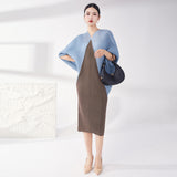 2025 Fashion high-end temperament large size dress pleated loose bat sleeve contrasting color splicing straight elegant long dress