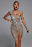 kamames Sedaya Glitter Mesh Mini Dress - Silver