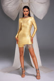 kamames Zora Metallic Tassel Bandage Dress