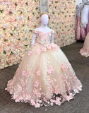 Off Shoulder Princess Mini Quinceanera Dresses for Girls 3D Floral Applique Little Princess Wedding Party Flower Girl Dress BC18710