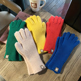 Solid Color Ribbed Knitting Gloves, Windproof Full Finger Touch Screen Warm Gloves, Women's Simple Autumn Winter Hand Warmer Gloves