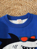 Boys Stylish Shark Pattern Sweater Round Neck Long Sleeve Stretch Warm Knit Pullover Top Kids Clothes Outdoor