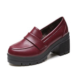 kamames Mary Jane Small Leather Shoes Jk Shoes, A New Style College Style Thick-Heeled Retro Uniform In Spring 2024