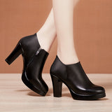 kamames Single Shoes Women's Thick Heels 2023 Autumn And Winter New Style High-Heeled Shoes English Style Velvet Large-Size Leather Shoes