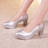kamames High-Heeled, Thick-Heeled Work Shoes, Professional Work Shoes, Pointed Middle-Aged And Elderly Mother Shoes, Cheongsam, Show Women's Single Shoes.