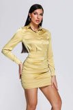 kamames Tryphosa Satin Shirt Dress