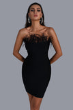 Kamames Richilde Black Strapless Feather Mini Dress