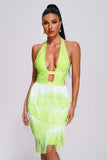 Kamames Daona Halter Tassel Mini Bandage Dress