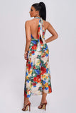 kamames Qerly Halter Floral Maxi Dress