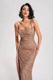 kamames Tamuna Sequin Maxi Dress