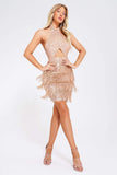 kamames Elspeth Sequin Tassel Mini Dress