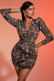 kamames Sibyl Leopard Mini Dress