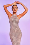 kamames Sierrar Sequin Maxi Dress