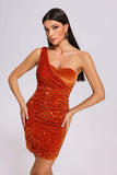 kamames Mandy One Shoulder Sequin Velvet Dress