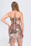 kamames Narali Tassel Sequin Dress