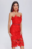 kamames Off Lace Tube Midi Dress