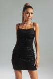 kamames Claire Sequins Fuzzy Mini Dress