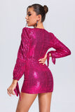 kamames Havera Sequin Mini Dress